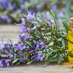 essential oil rosemery